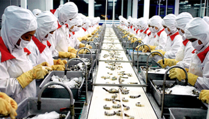 Nhân Lực Việt MP kết nối lao động việc làm quốc tế