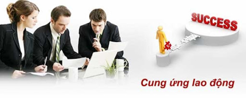 Cung ứng nhân lực chọn lọc tối ưu chi phí doanh nghiệp